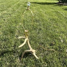 Vintage deer antler for sale  Kearney