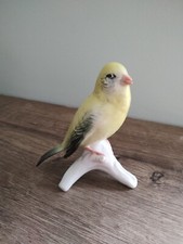Karl ens oiseau d'occasion  Elven