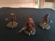 Warmachine hordes skorne for sale  LINCOLN