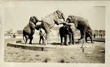 Ringling bros barnum for sale  Jacksonville