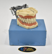 Columbia dental dentoform for sale  Hudson