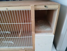 Two bird budgie for sale  SNODLAND