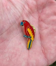 Tropical scarlet macaw for sale  LEICESTER
