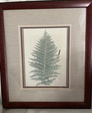 Fern framed picture for sale  Clemmons