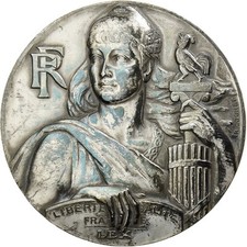 Médaille assemblée nationale d'occasion  Lille-