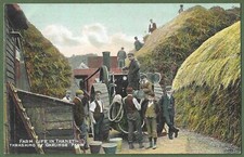 Farm life thanet for sale  HAYWARDS HEATH