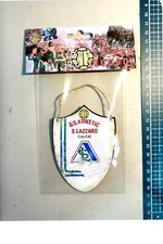 Scudetto gagliardetto legno usato  Italia