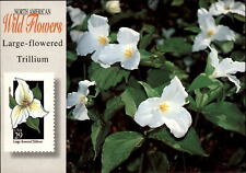 trilliums flowers wild for sale  Sandusky