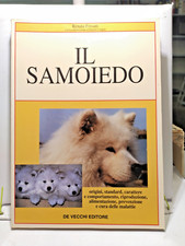 Samoiedo origini standard usato  Monterotondo