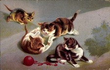 Spielende katzenbabys rotes gebraucht kaufen  Berlin