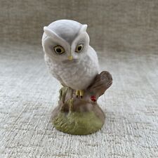Aynsley snowy owl for sale  GRANTHAM