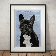 French bulldog pop for sale  BRISTOL
