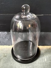 cloche for sale cloche for sale RYDE