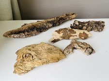 Chunky driftwood pieces for sale  CLACTON-ON-SEA