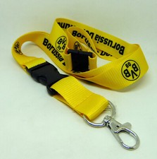 Bvb borussia dortmund gebraucht kaufen  Bergkamen
