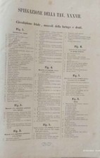 Libro antico atlante usato  Matino