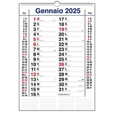Calendario 2025 olandese usato  Senigallia