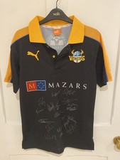 Yorkshire vikings cricket for sale Yorkshire vikings cricket for sale  ALNWICK