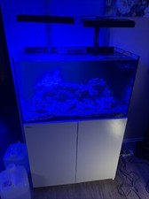 Red sea 250 for sale  Murrieta