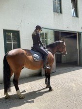 Neu gekaufter prestige gebraucht kaufen  Bremen