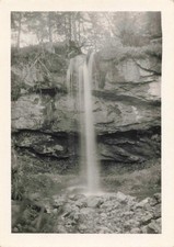 Ancienne photographie promenad d'occasion  Nogent-sur-Marne