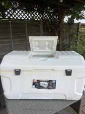 Igloo max cold for sale  RUSHDEN