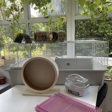 Large pets home for sale  PETERSFIELD