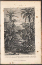 1866 gravure originale d'occasion  Besançon