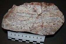 Amethyst quarzanschliff schlot gebraucht kaufen  Helsa