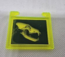 Radiographie tete dinosaure d'occasion  Étaples