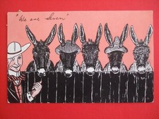 Old seaside donkey for sale  HUNTINGDON