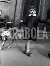 Vintage animali cane usato  Roma