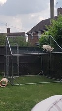Hen house chicken for sale  SOUTHAM