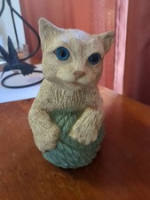 White cat kitten for sale  Bridgeton