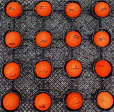 Orange golf balls for sale  NEWCASTLE UPON TYNE