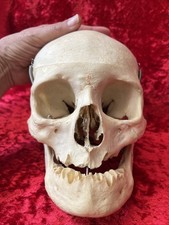 Rare science médicale usato  Spedire a Italy