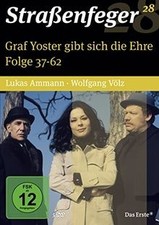 Straßenfeger graf yoster gebraucht kaufen  Berlin