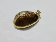 Pendant whole brown for sale  HELENSBURGH