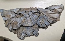 Honoured imperium terrain for sale  RADSTOCK