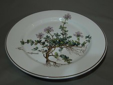 Kuchen teller villeroy gebraucht kaufen  Köln