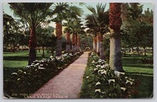 Postcard long beach for sale  Mount Holly