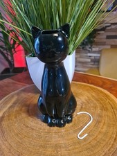 Süße schwarze katze gebraucht kaufen  Göppingen