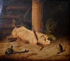 Terriers teasing rat for sale  LONDON