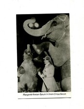 Zirkus barum elefanten gebraucht kaufen  Taufkirchen