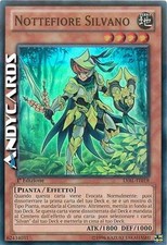 Nottefiore silvano super usato  Ravenna