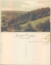 View rake sussex for sale  ROSSENDALE