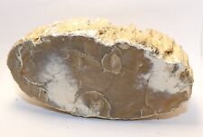 Minéraux collection fossile d'occasion  Lagnieu