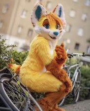 Furry fursuit frau gebraucht kaufen  Pleinfeld