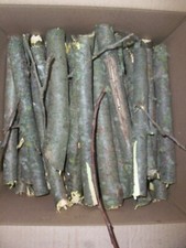 Box apple wood for sale  Reynoldsville