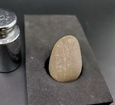Real dinosaur fossilized for sale  Belleville